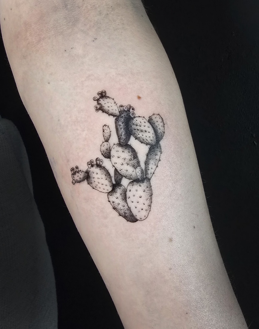 Fine line and dotwork prickly pear cactus tattoo on the forearm
